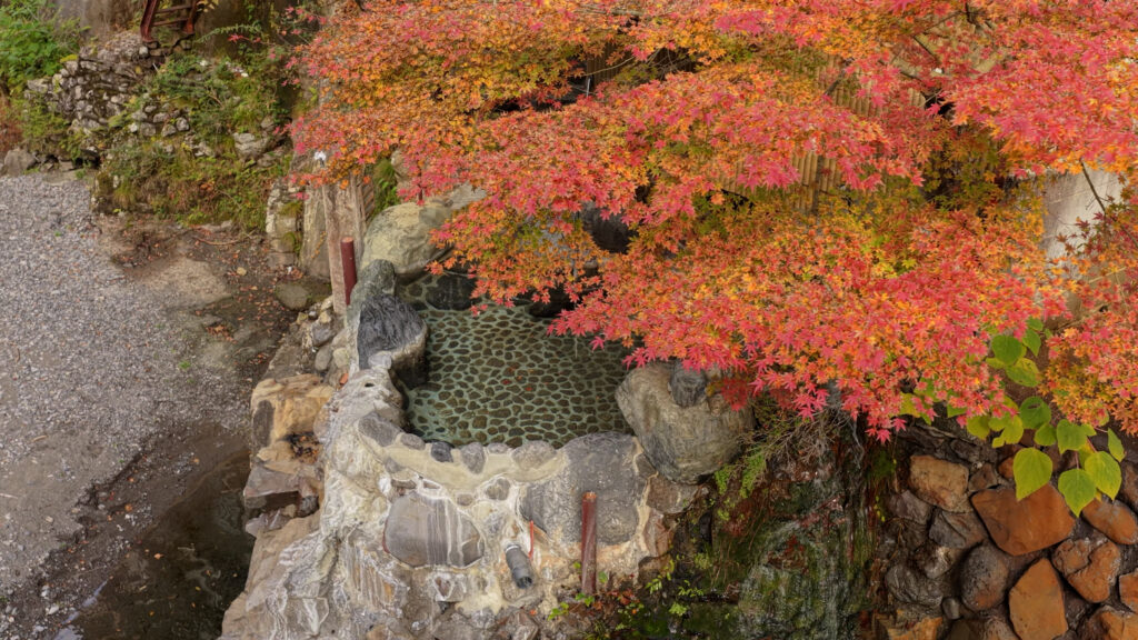 龍神温泉 下御殿 PR動画